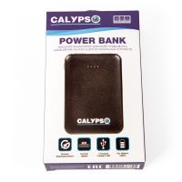 PowerBank