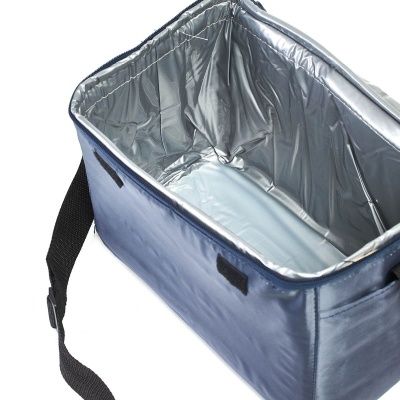 Сумка изотермическая Camping World Snowbag 10 л (цвет - синий)