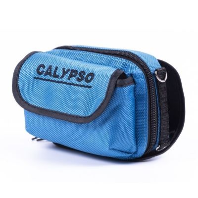 Blue bag-2